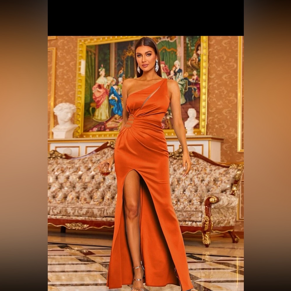 New without tags burnt orange dress